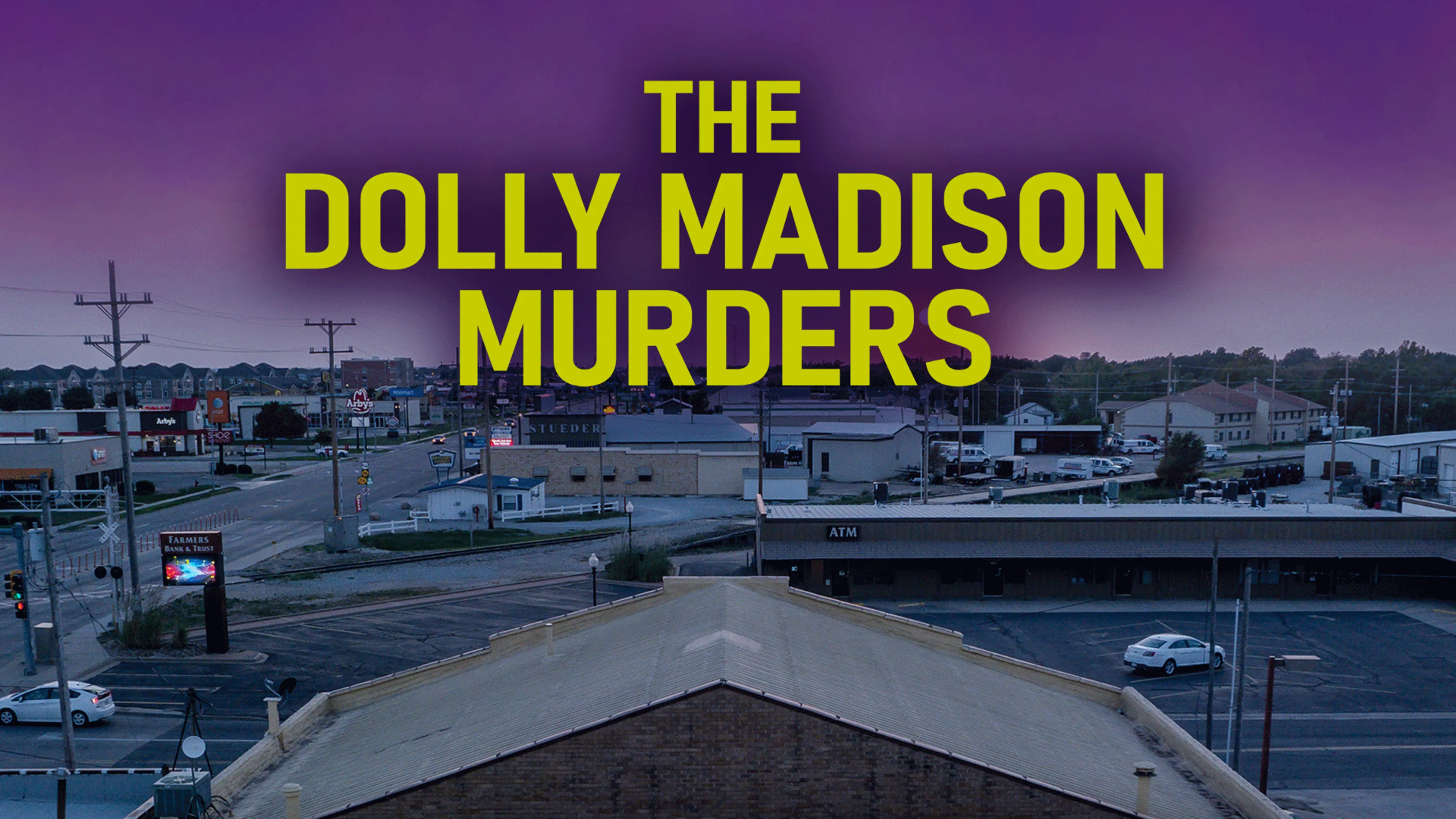 The Dolly Madison Murders poster